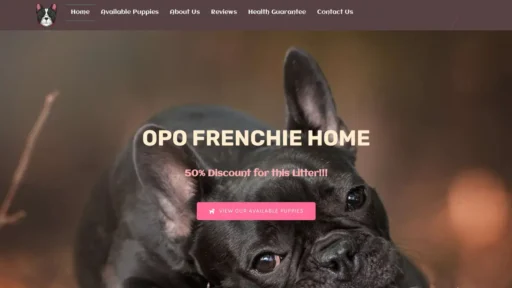 Scam Website Screenshot Opofrenchies.com