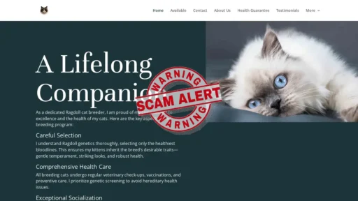 Scam Website Screenshot Ourdaysofgrace.com