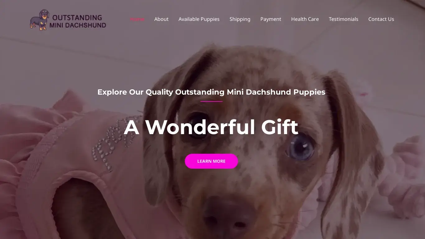 is Cute Mini Dachshund Puppies for sale legit? screenshot