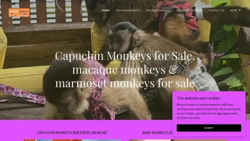Scam Website Screenshot Paradisemonkeysforsall.com