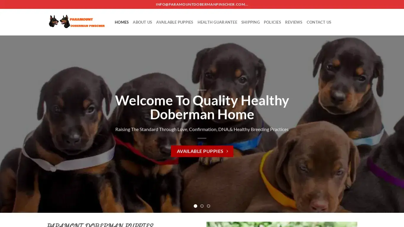 is paramount doberman pinscher legit? screenshot