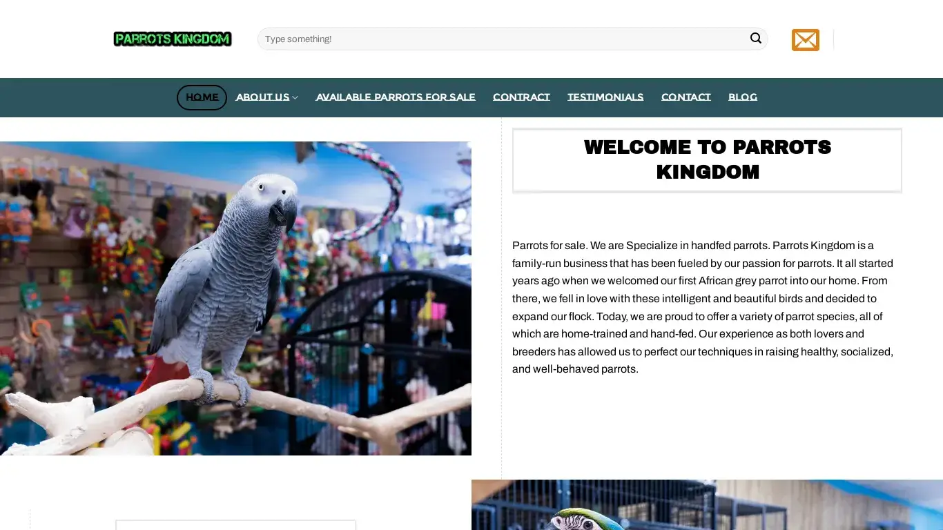 is Parrots For Sale | Tamed And Handfed Parrot Babies For Sale legit? screenshot