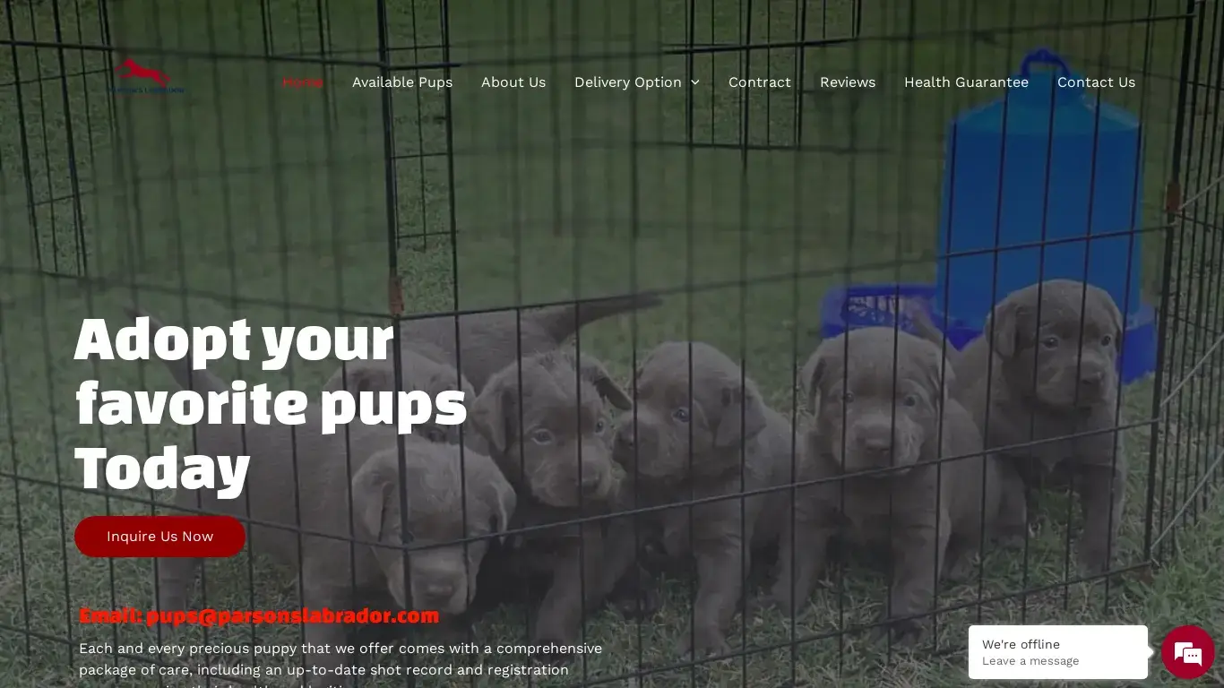 is Parson's Labrador – Pups for sale legit? screenshot