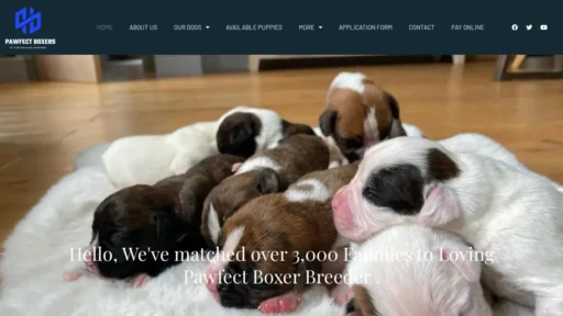 Scam Website Screenshot Pawfectboxers.com