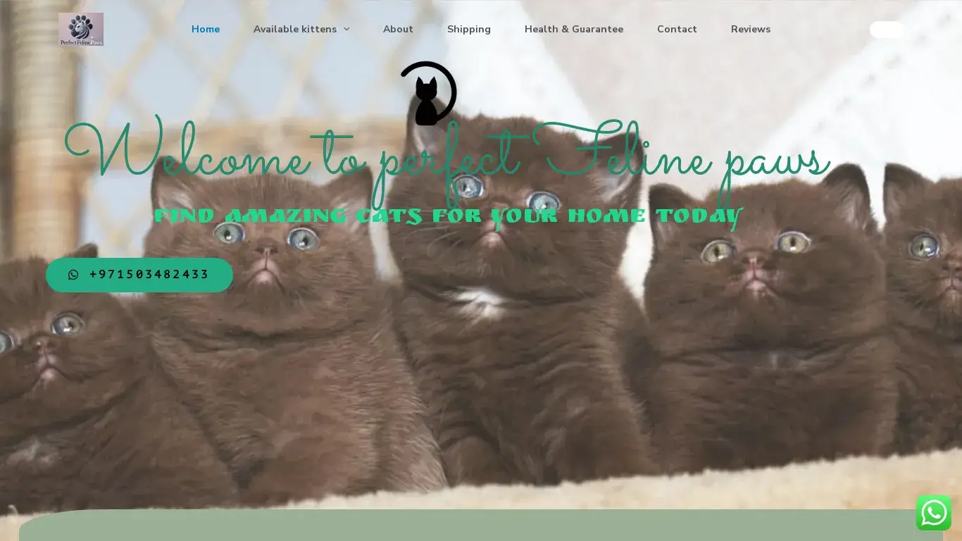 is Welcome to Perfect feline Paws – Purebred kittens for sale legit? screenshot