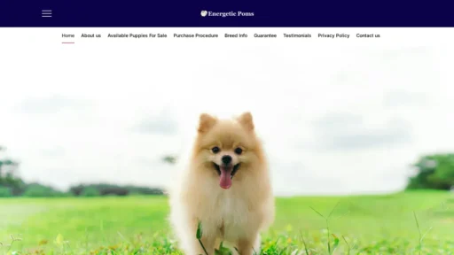 Scam Website Screenshot Perroenergeticas.com