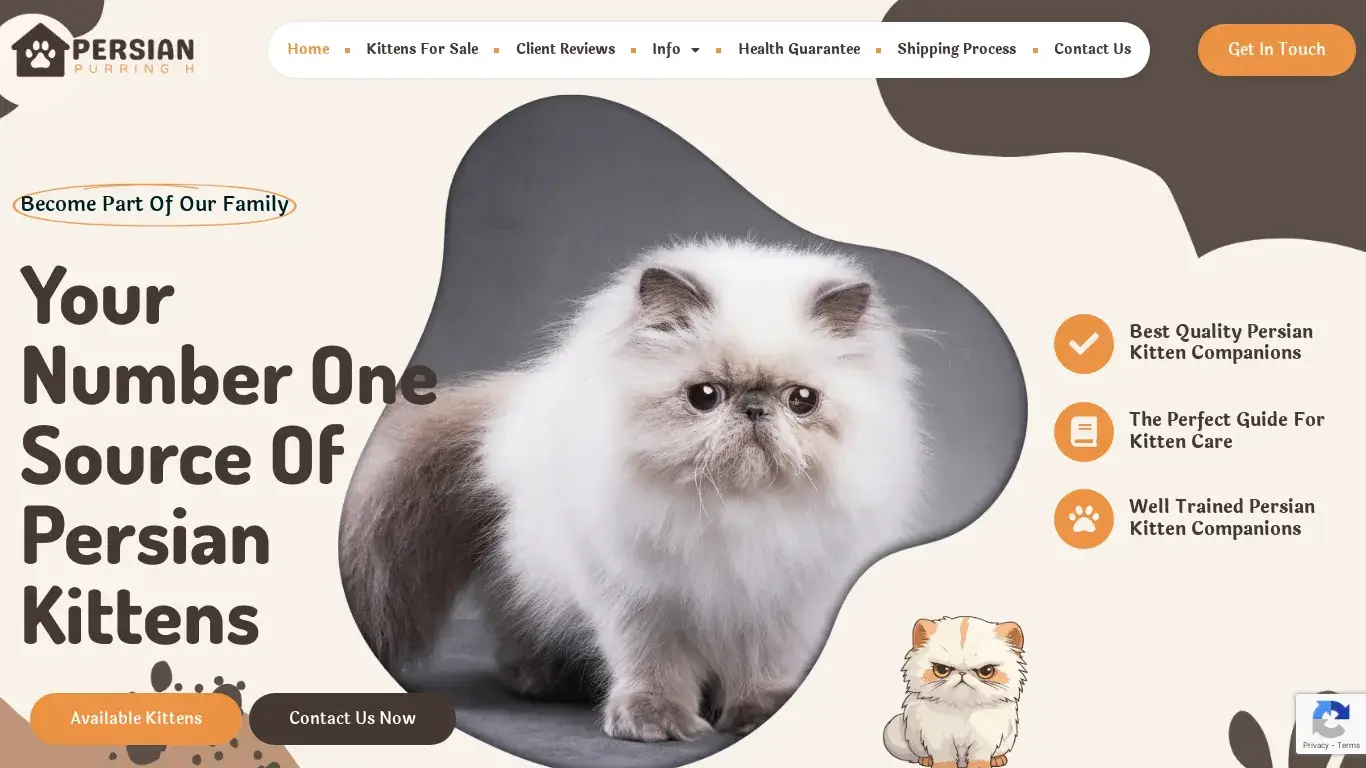 is Persian Purring Hearts – Kittens for sale! legit? screenshot