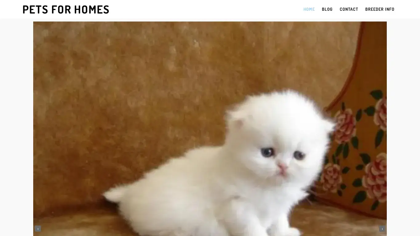is Pets For Homes – Get Pets For Your Homes legit? screenshot