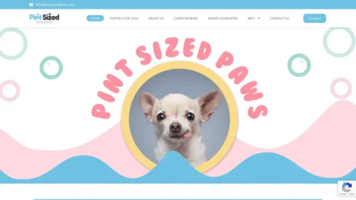 Scam Website Screenshot Pintsizedpaws.com