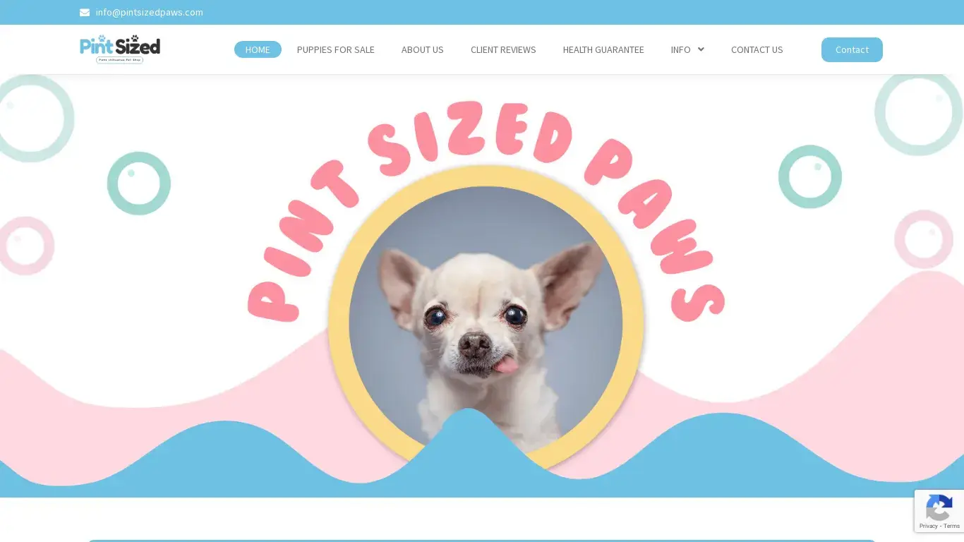 is Pint Sized Paws – puppy Cubs For Sale At The Comfort Of Your Home legit? screenshot