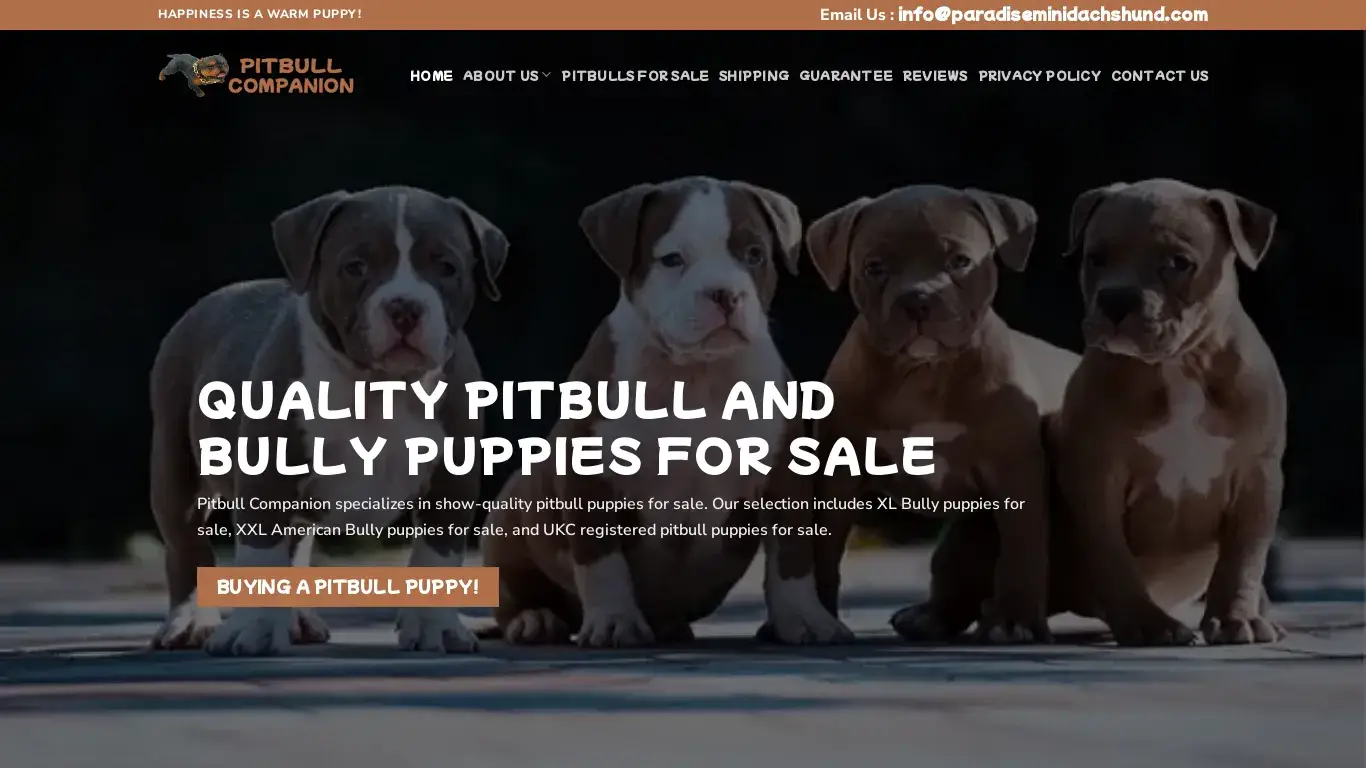 is Pitbull and bully puppies for sale in USA - Pitbull Companion legit? screenshot