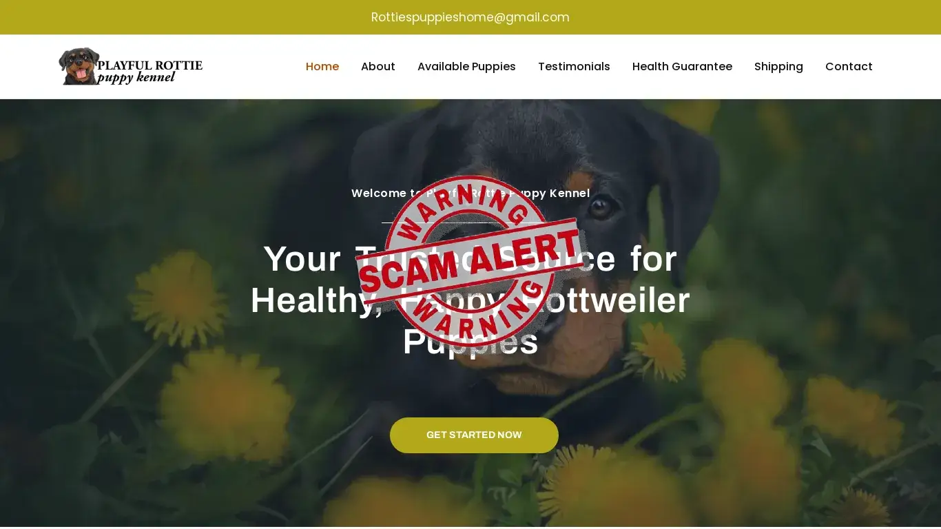 is Playful Rottweiler puppy kennel – Adorable Rottweiler puppies for adoption legit? screenshot