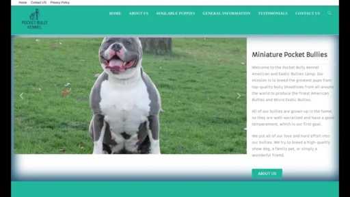 Scam Website Screenshot Pocketbullykennel.com