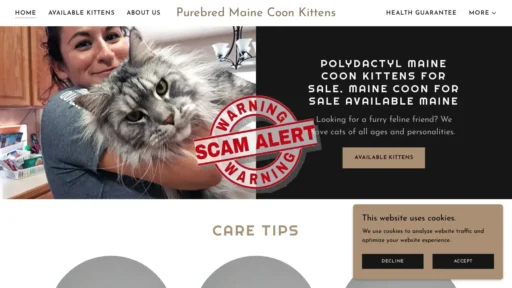 Scam Website Screenshot Polydactylmainecoonforsale.com