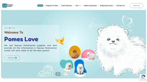 Scam Website Screenshot Pomeslove.com