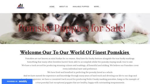 Scam Website Screenshot Pomskybabieshome.weebly.com