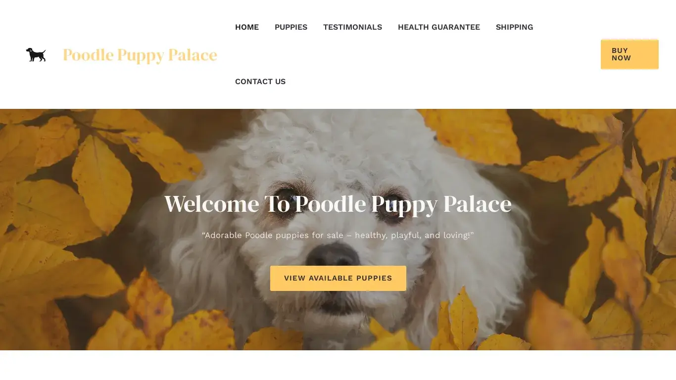 is Poodle Puppy Palace – Purebreed Poodle Puppies For Sale legit? screenshot