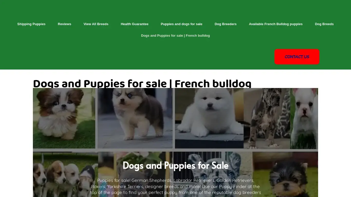 is Dogs and Puppies for sale: French Bulldog puppies for sale legit? screenshot