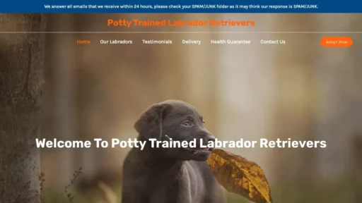 Scam Website Screenshot Pottytrainedlabradorretrievers.com