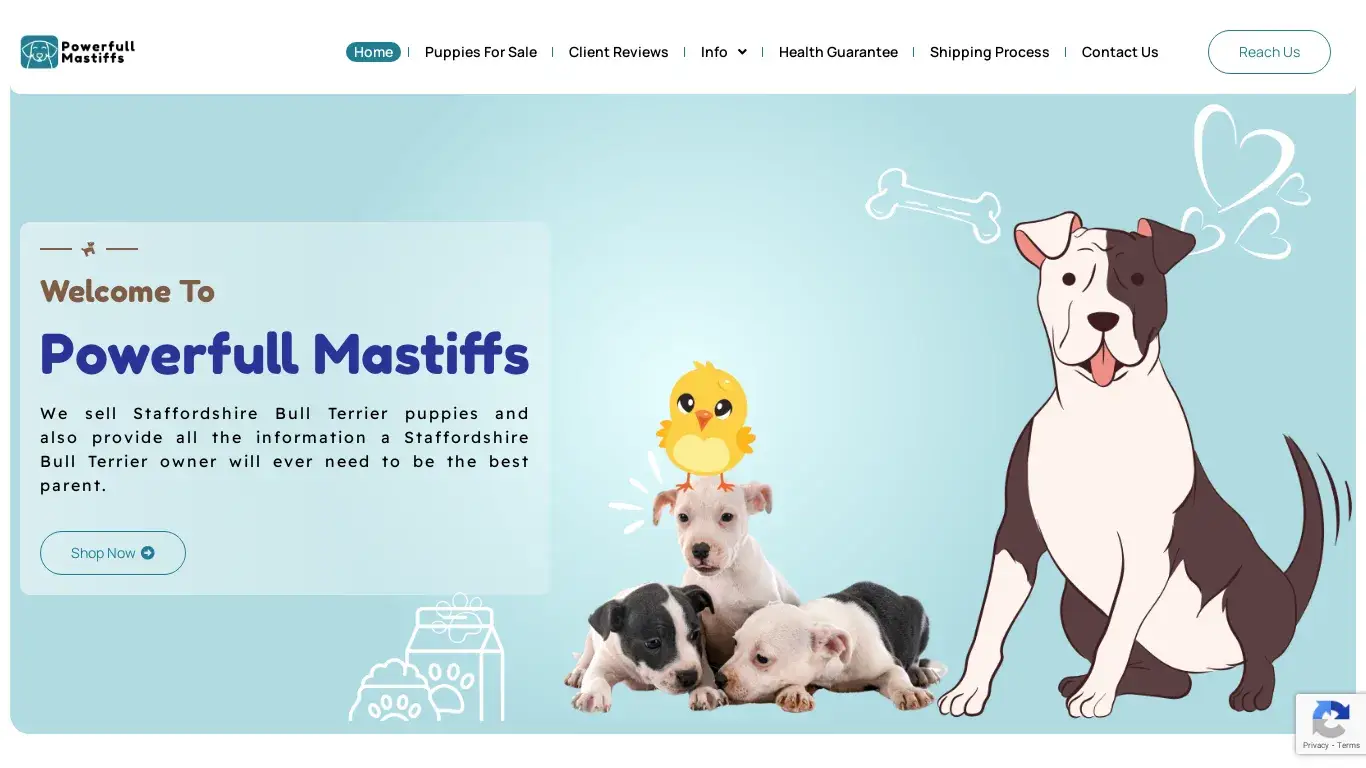 is Powerfull Mastiffs – Puppies for sale! legit? screenshot