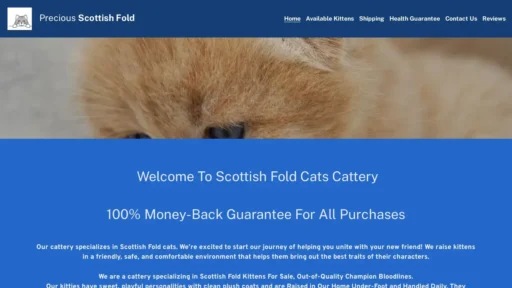 Scam Website Screenshot Preciousfoldcats.com