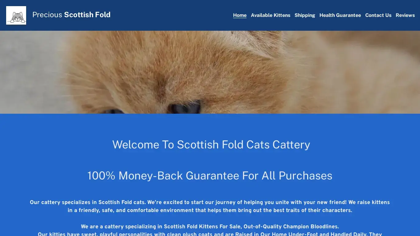 is PRECIOUS FOLD CATS legit? screenshot