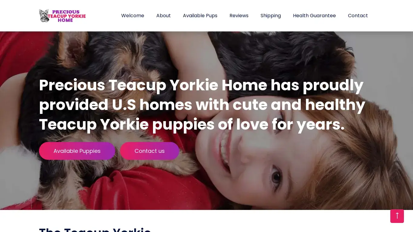 is Home | Precious Teacup Yorkie Home legit? screenshot
