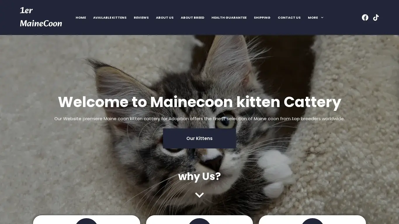 is Premier Mainecoon Kitten Cattery – Premier Mainecoon Kitten Cattery legit? screenshot