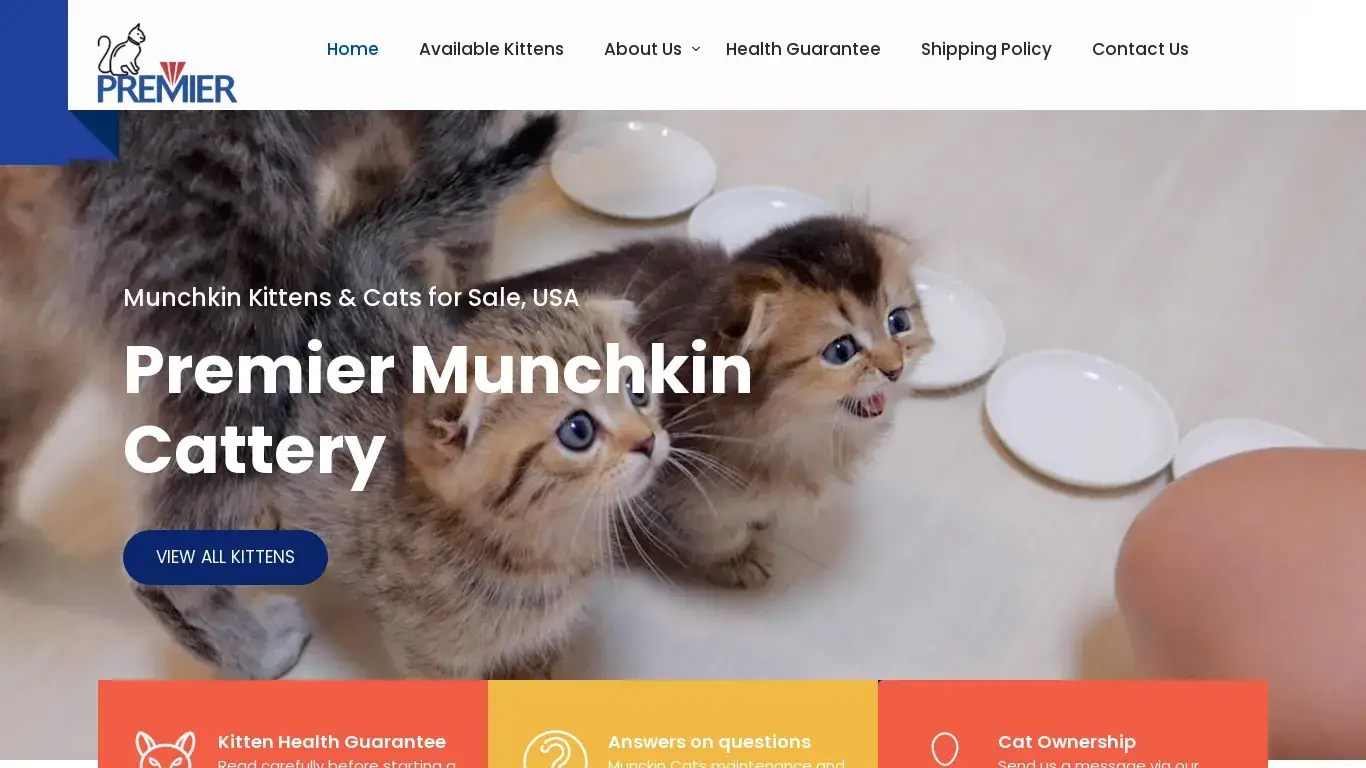is Munchkin Kittens & Cats for Sale, USA – Munchkin cats are beloved for their captivating temperament: Playful and Curious: legit? screenshot