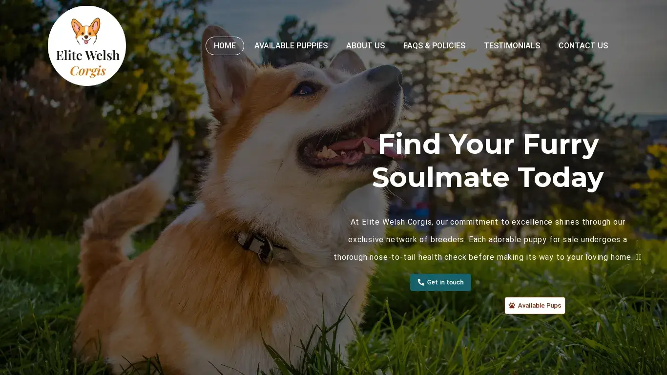 is Home | Elite Welsh Corgis legit? screenshot