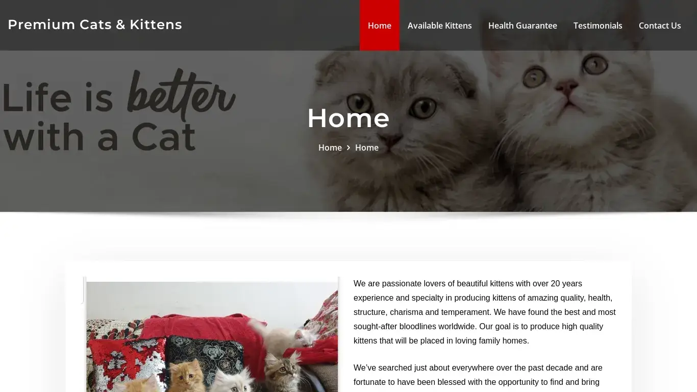 is Premium Cats & Kittens legit? screenshot