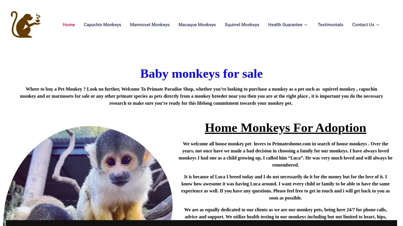 is House Monkey Pets | Home Monkeys | Where To Buy A Pet Monkey legit? screenshot