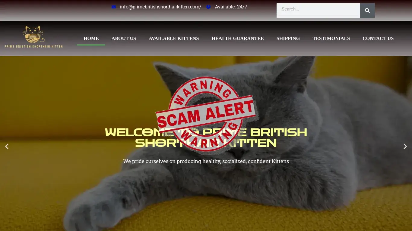 is PRIME BRISTISH SHORTHAIR KITTEN legit? screenshot