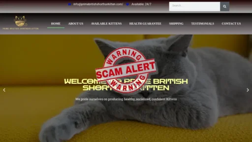 Scam Website Screenshot Primebritishshorthairkitten.com