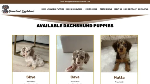 Scam Website Screenshot Primelanddachshunds.com