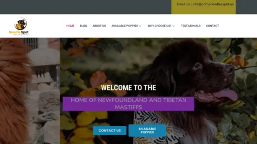 Scam Website Screenshot Primenewfiesspot.us