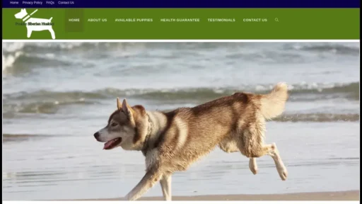 Scam Website Screenshot Prolificsiberianhuskies.com