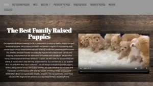 Scam Website Screenshot Puppyhub.org