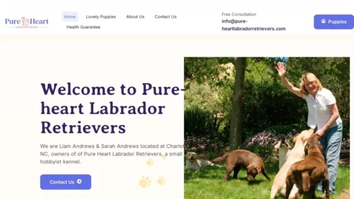 Scam Website Screenshot Pure-heartlabradorretrievers.com