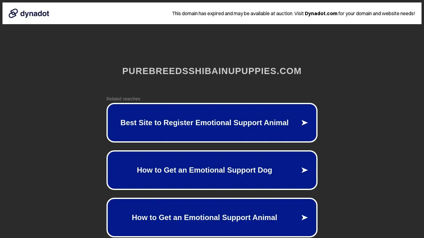 is purebreedsshibainupuppies.com legit? screenshot