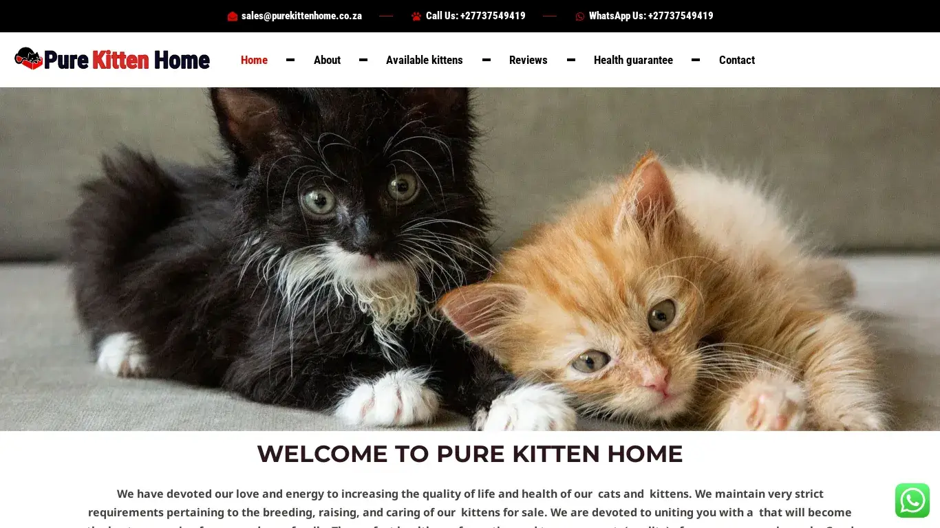 is Pure Kitten Home – Pure Kitten Home legit? screenshot