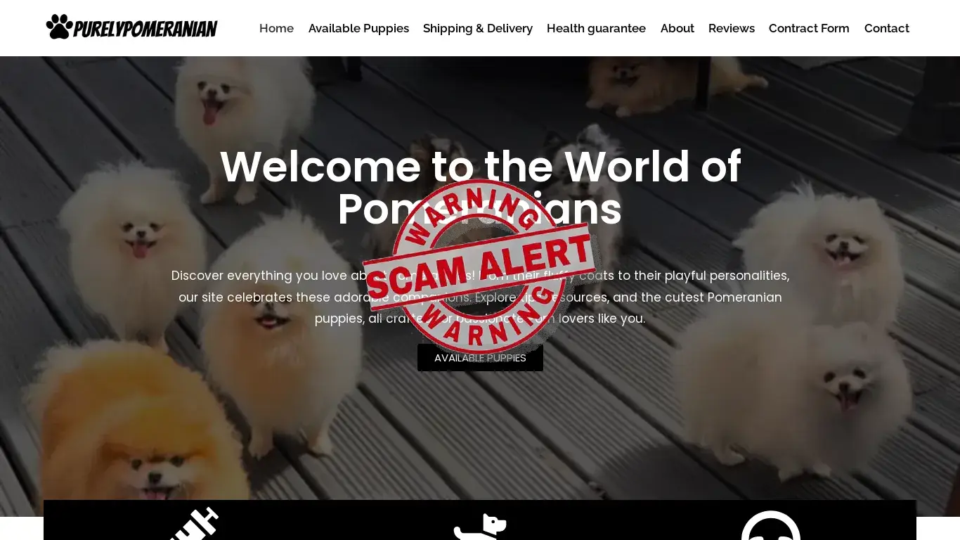is purelypomeranian.com – purelypomeranian.com legit? screenshot