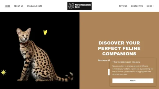 Scam Website Screenshot Puresavannahcats.com