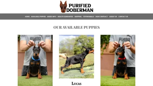 Scam Website Screenshot Purifieddoberman.com