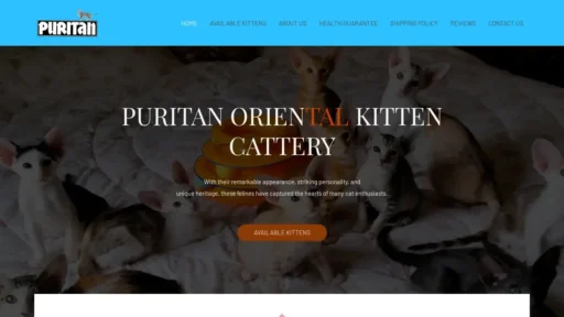 Scam Website Screenshot Puritanorientalkittencattery.com