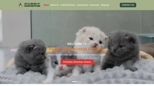 Scam Website Screenshot Purryshorthairkittens.com