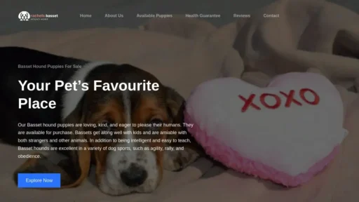 Scam Website Screenshot Rachelsbassethoundhome.com