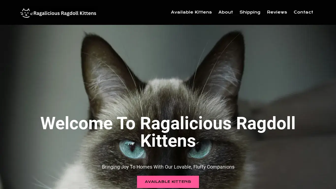 is ragaliciousragdollkittens.com – ragaliciousragdollkittens.com legit? screenshot