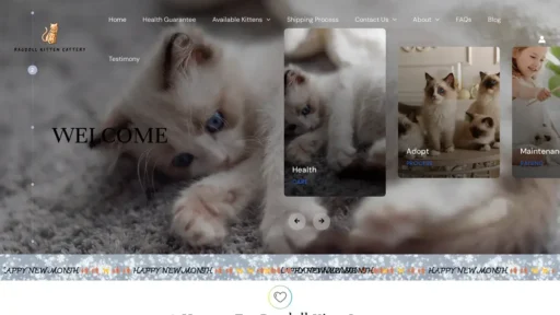 Scam Website Screenshot Ragdolkitten.com