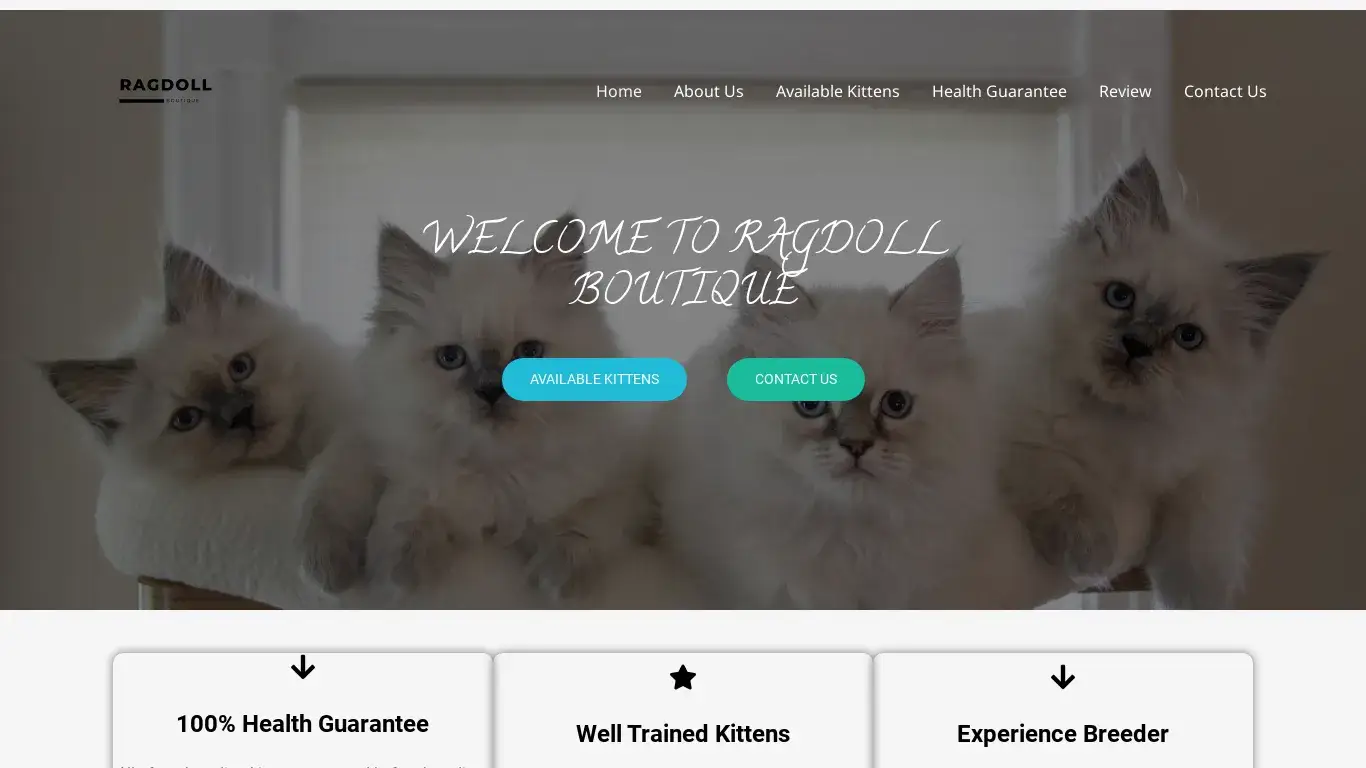is Ragdoll Boutique – Best Kittens For Your Home legit? screenshot